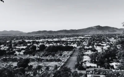 Disputes Over Views and Privacy in Queensland Properties