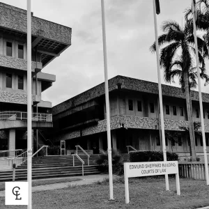 Representing Litigation In Court Is A Last Resort In Commercial Disputes